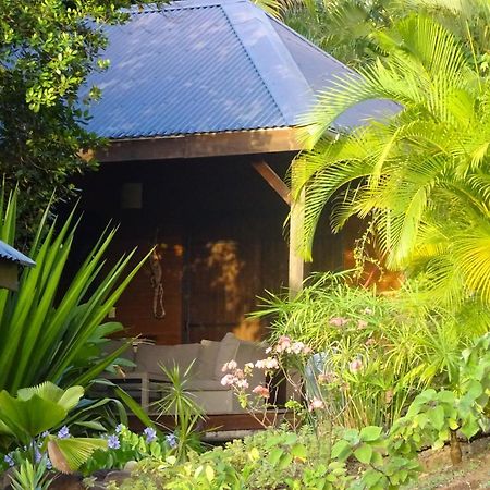 Villa Le matelot de la baie à Deshaies Extérieur photo