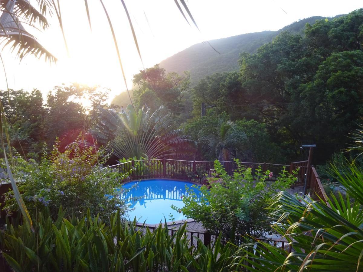 Villa Le matelot de la baie à Deshaies Extérieur photo