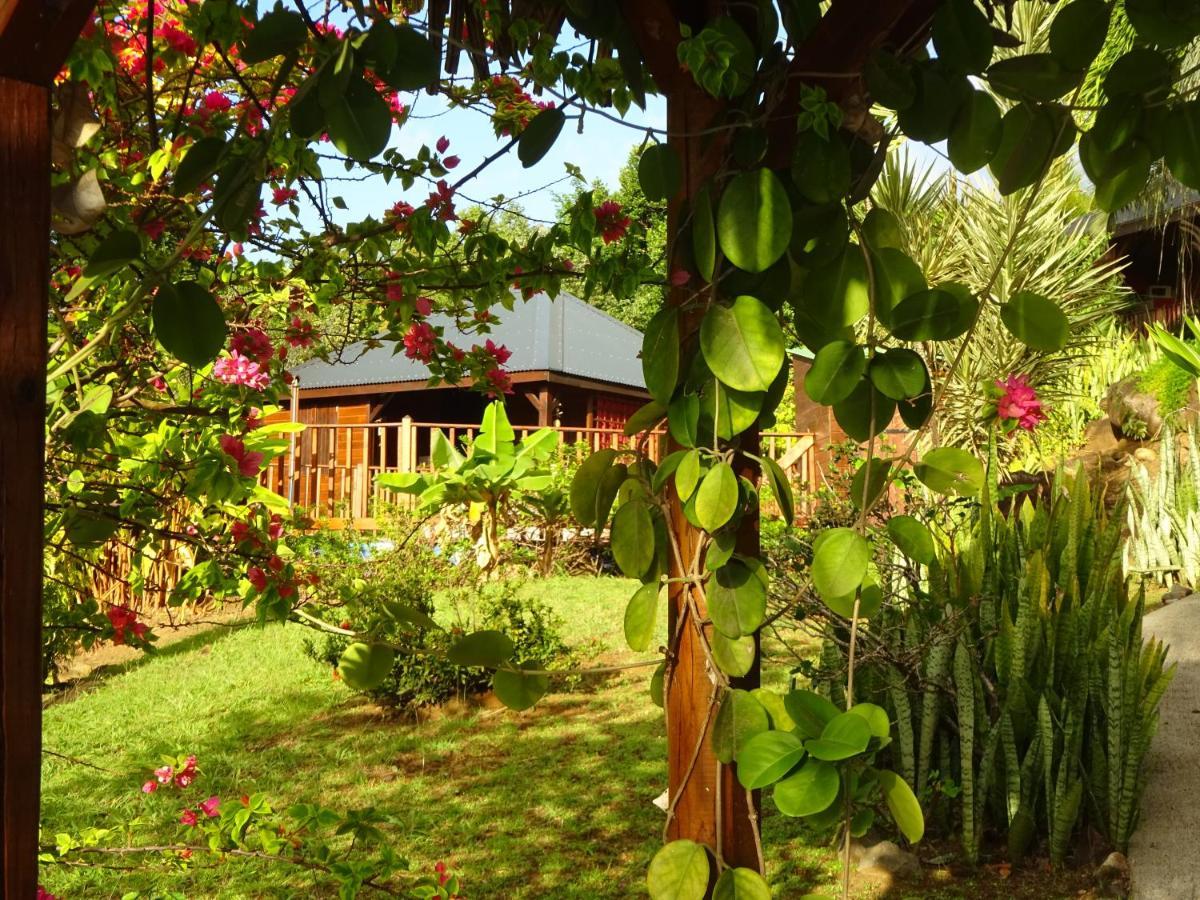 Villa Le matelot de la baie à Deshaies Extérieur photo